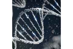 DNA